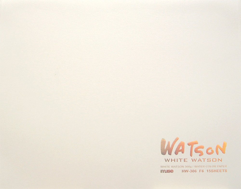 White Watson block F6 300g (japan import)