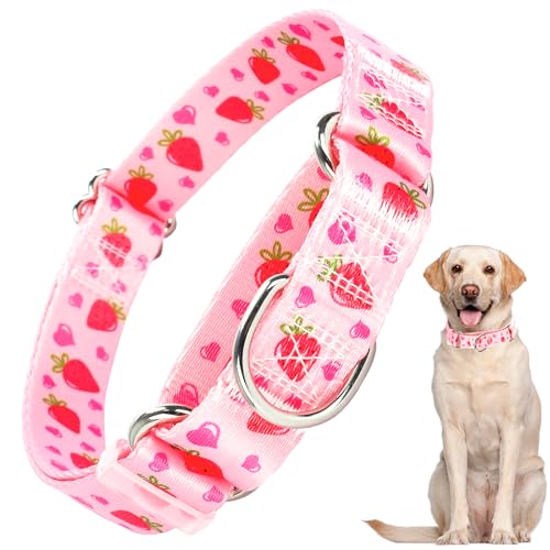 Martingale Collar for Dogs with Pink Strawberries, Cute Adjustable Collar for Small to Large Dogs, Girls & Boys 38 S (Neck 12"-17")