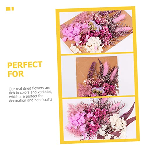 Kit de flores secas para manualidades y decoración miniatura 2