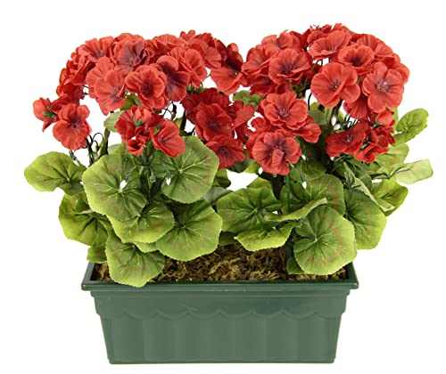 Flair Flower Géranium dans Une boîte de géranium 088279R - Fleurs artificielles - Décoration de Table - 088279R - Rouge - 36 x 30 x 18 cm
