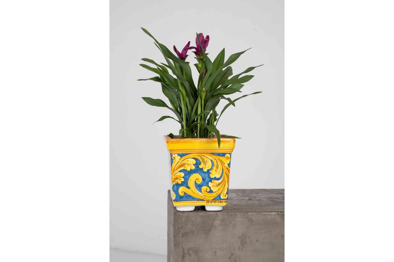 Cerames Vaso grande in stile siciliano di Caltagirone Vaso di Gialli Acanto Chiaro L - Fioriera italiana grande | Fioriera quadrata da interno per terrazza balcone 20x20x20 cm