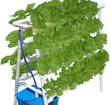 حوض بجانبين لنظام الزراعة المائية للنباتات Amazon Ae الفناء والعشب والحدائق