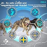 Pro-X Getreidefreies Hypoallergenes Nahrungsergänzungsmittel Hund aus Getrockneten Insekten von European Pet Pharmacy - Proteinpulver für den Muskelaufbau Hund – Ab 1 Jahr - 300 g Pulver