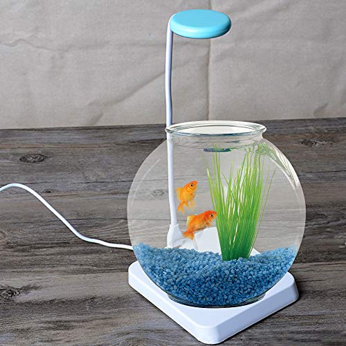 DAYOLY LED Plant Light, Desk Plant Growth Light for Indoor Plants, Eye-Friendly Table Lamp for Hydroponics Plants, Seedling Blooming Fruiting