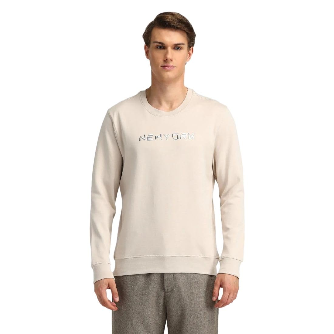 arrow New York Mens Beige Letter Print Long Sleeve Cotton Classic Sweatshirt-picture-16