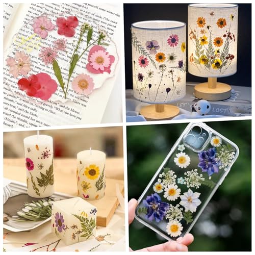 112 piezas flores secas prensadas para manualidades miniatura 6