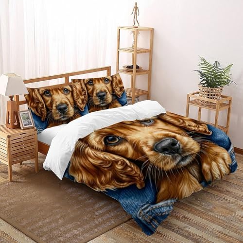 Housse de couette 260x220 fermeture éclair pour lit garçon