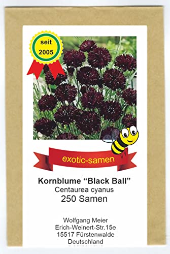 Centaurea cyanus - Bienenweide - Schwarze Kornblume\"Black Ball\" - samenfeste Sorte - 250 Samen Centaurea cyanus - Bienenweide - Schwarze Kornblume\"Black Ball\" - samenfeste Sorte - 250 Samen
