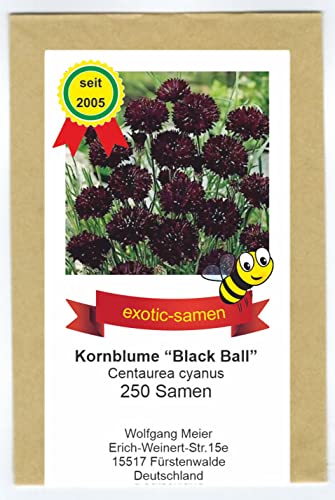 Centaurea cyanus - Bienenweide - Schwarze Kornblume\"Black Ball\" - samenfeste Sorte - 250 Samen