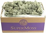 SuperMoss (25115) Reindeer Moss Preserved, Moss Green, 3lbs