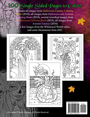Big-Book-of-Halloween-and-Autumn-Coloring-Book-by-Molly-Harrison-100-pages-of-Halloween-and-Autumn-Themed-Illustrations-to-Color