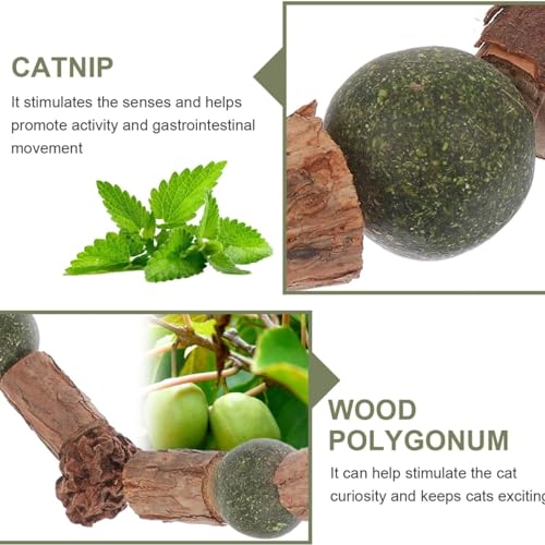 Image of cature Care by Nature Cat Catnip Toy,Teething Toy,Natural Cat Sticks,Teaser Toys,Chewing Toy,Molar Toy,Cat Chasing Toy,Dental Toy,Treats Interactive Cat Toys For Kitten Cat