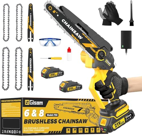 Mini Motosierra Con Motor Sin Escobillas De 1000w,Motosierra De 8 Y 6 Pulgadas,Engrasador AutomáTico Y Tensor De Cadena Sin Herramientas Y 2 * 2000 Mah Para Ramas De áRboles, Corte De Madera Motosierr