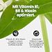 Best Body Nutrition Vital Drink ZEROP® - Waldmeister, Original Getränkekonzentrat - Sirup - zuckerfrei, 1:80 ergibt 80 Liter Fertiggetränk, 1000 ml