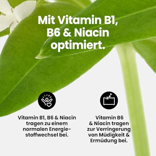 Best Body Nutrition Vital Drink ZEROP® - Waldmeister, Original Getränkekonzentrat - Sirup - zuckerfrei, 1:80 ergibt 80 Liter Fertiggetränk, 1000 ml
