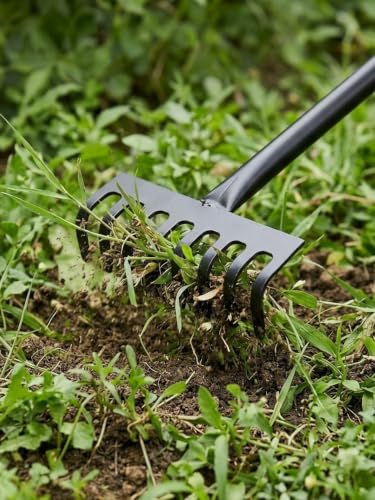 Image of Garden Tools for Home & Nursery Use | Hand Tools for Plant Care & Gardening (6 Teeth Tool Garden Rake)