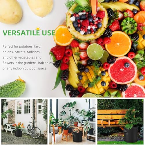 Image of Decor & More ? Grow Bags with Durable Handles & Reinforced Stitching,Thick Non-Woven Fabric | 280 GSM Grow Bag for All Plants, Garden Accessories| Grow Bags 12x10 inch - Pack of 5 ? Black
