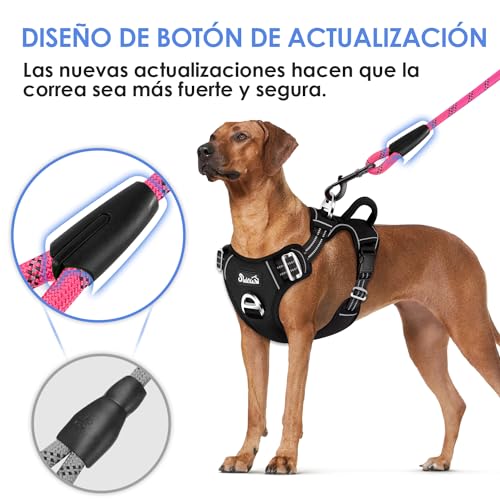 Correas para perros pequeños 26 Imagen adicional
