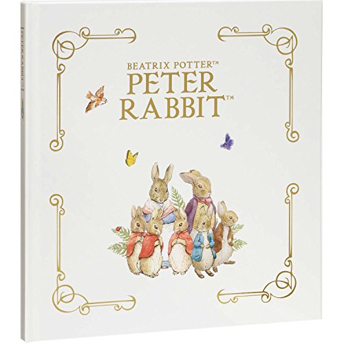 ZLZC SEKISEI Ao t[ s[^[rbg Cgt[Ao 16y[W t[ 11~20y[W LN^[ PT-5120-00