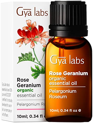 Gya Labs Organic Rose Geranium Essential Oil for Skin – Organic Geranium Essential Oil for Diffuser – Rose Geranium Essential Oil Organic for Aromatherapy – (0.34 fl oz)