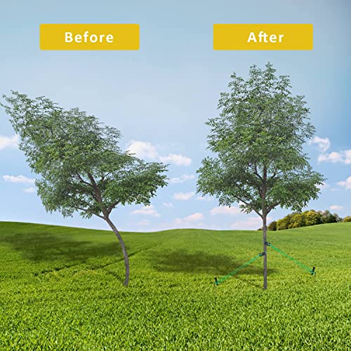 Fcends Tree Stake Kit, Heavy Duty Anchor Support Kit For Young Trees Against Bad Weather, Tree Straightening Kit Include 3Pcs Tree Straps, 3Pcs 11.8 In Metal Stakes, 3Pcs Ropes #TOP7