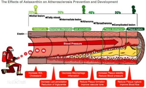 Miniatura 8 de Extracto de extracción supercrítica de Haematococcus pluvialis 100% Aceite de astaxantina (ASTA)  10% HPLC, 3.4 fl oz (3.4 fl oz.), el suplemento