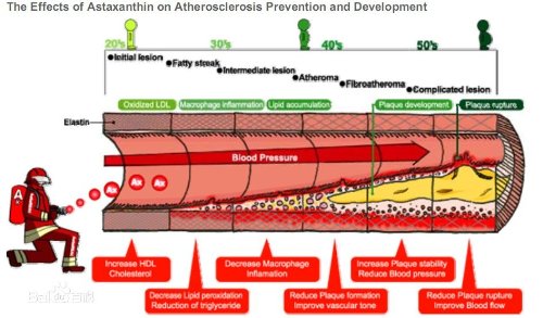 Haematococcus Pluvialis Extract Astaxanthin (Asta) Micro-Capsule Powder 2.5% Hplc, Cws Instant, 100 Grams (3.5 Oz.) #TOP4