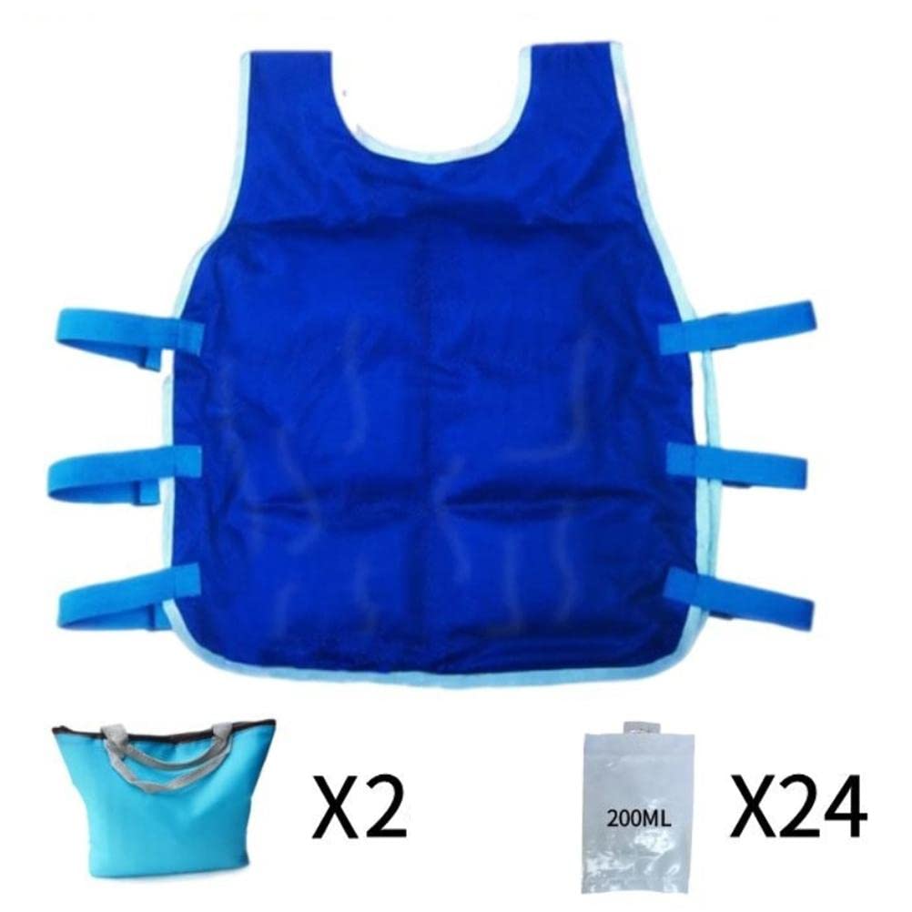 Chaleco de refrigeración para hombres y mujeres, chaleco de hielo para clima caliente con 24 acumuladores de frío y bolsillos, chaleco refrigerante para ciclismo, pesca, cocina, jardinería,