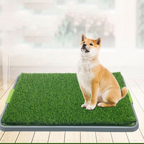 Hundeklo, 68 x 43 cm Welpentoilette Rasen, Wiederverwendbare Hundetoilette mit waschbarer Tablett, hochdurchlässiger Kunstrasen Trainingsunterlagen für Hunde für Zuhause, Wohnung Hundetrainingsplatz