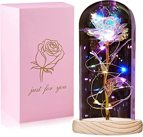 QUNPON Muttertagsgeschenk für Mama, Ewige Rose im Glas Die Schöne und das Biest Rose in Glaskuppel, Sparkly Galaxy Rose mit LED-Lichter, Geschenke für Frauen Oma Geburtstag Freundin