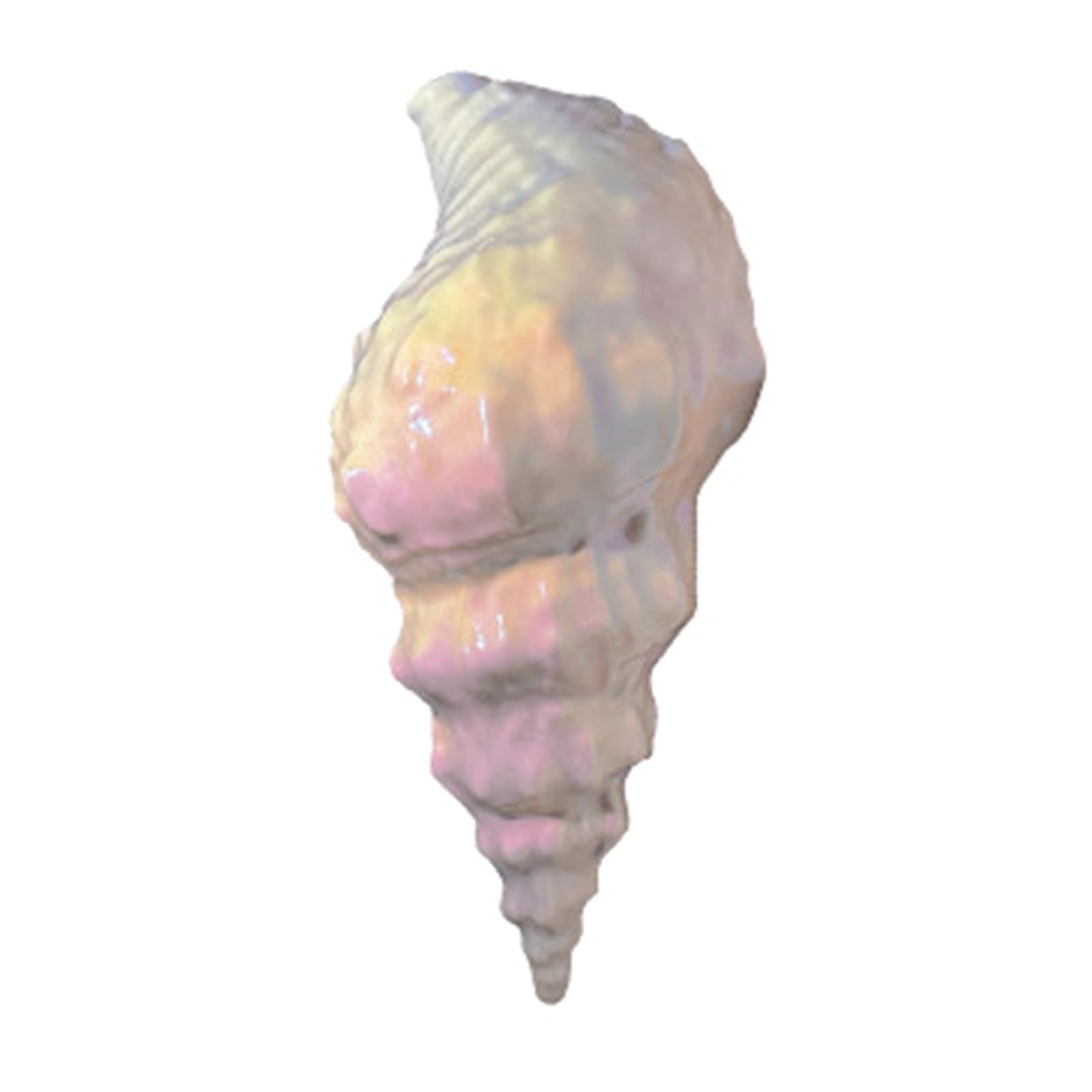 Shell/Conch Shaped Towel Clamps Windproof ABS Clip Practical Leisures Chair Rack Beach Essential Swimming Essential
