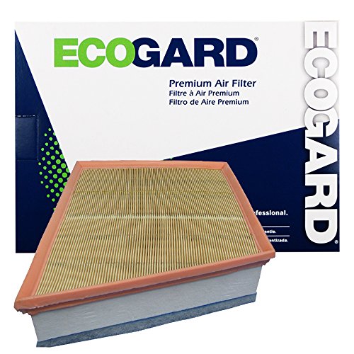 ECOGARD XA6146 Air Filter