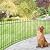 FOREHOGAR Metal Garden Fence 36 in H x 10 ft L,Border Fence Panels Animal Barrier for Dogs, No Dig Garden Fencing for Yard Patio Flower Bed Lawn Outdoor,5 Panels + 6 Stakes Black