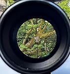 Review Image by J. Clark J. Clark