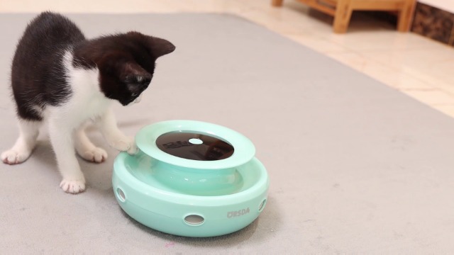 ORSDA 2in1 Interactive Toys for Indoor Cats, Timer Auto On/Off, Cat Toy Balls & Ambush Electronic Cat Mice Toy for Entertainment with 6pcs Feathers, Dual Power Supplies - image 7