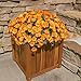 Daisy Artificial Flowers for Outdoors Decoration, 6 Bundles Fake Plants Flowers Bouquet Faux Flowers for Outdoor Planter Look Real UV Resistant Silk Flowers for Outside Front Door Porch Patio, Orange