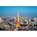 TONGSH Puzzles Ville de Tokyo Vue aérienne de la célèbre Tour de Tokyo Photographie Puzzle Casse-tête Carte Blanche for Adultes Jouets éducatifs for Enfants (Color : 1000Tablets)