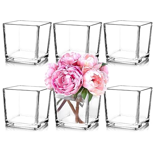 Comrzor Set of 6 Square Glass Vases 5 x5 x 5 Clear Flower Vases for Centerpieces Candle Holder for Wedding Party Events Home Dcor