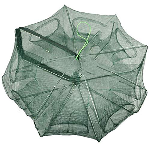 The Best Bait Trap in 2022