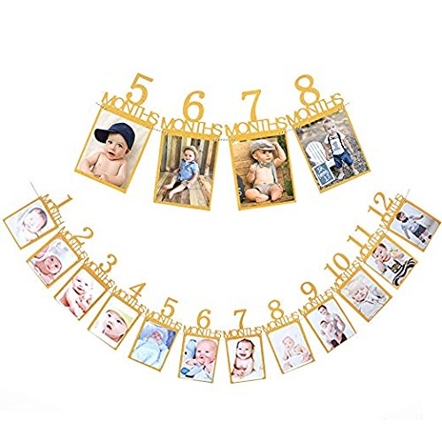 Mollytek xr[ 12 tHgt[ 1 ʐ^ tHgoi[ 1Βa t  ݂莮 Ǌ| ʐ^t[ Ԃ xr[ap[eB[ fR[V LO DIYp (S[h)