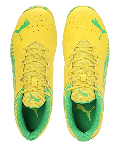 Image of Puma Men 22 FH Rubber Cricket Shoe