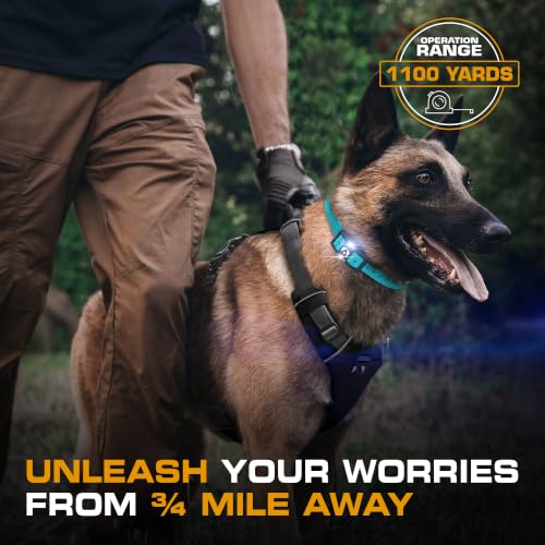 Image of INVIROX Ultra K9 Dog Training Collar with Remote for Large Breeds