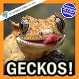  Geckos!: A My Incredible World Picture Book for Children (My Incredible World: Nature and Animal Picture Books for Children)