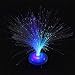 Produktbild ICOCO Chrismas Party Bar Decor Schöne Romantische LED Lampe Farbwechsel LED Fiber Optic Nachtlicht Lampe Kleines Nachtlicht - Zufällig
