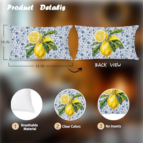 Image of Blue and Yellow Summer Italian Mediterranean Amalfi Coast Lemon Pillow Cover Decor 12x20, Striped Italian Decorative Throw Pillow Cover Decor for Couch Double-Sided Set of 2
