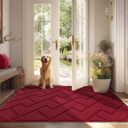 Biscpro Tapis de Porte Paillasson d'Entree Interieur et Extérieur Tapis Antidérapant et Absorbant, Lavable, Tapis pour Intérieur, Extérieur, Chambre,...