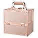 Frenessa Makeup Box Cosmetics Case Jewelry Organiser Vanity Make Up Storage Box Beauty Train Case Lockable with Keys (Rose Gold)