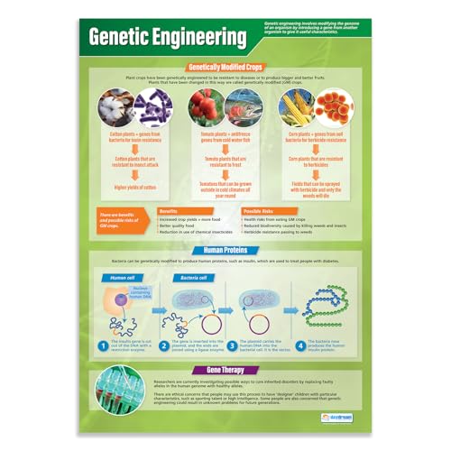 Daydream Education Genetic Engineering | Science Posters | Gloss Paper