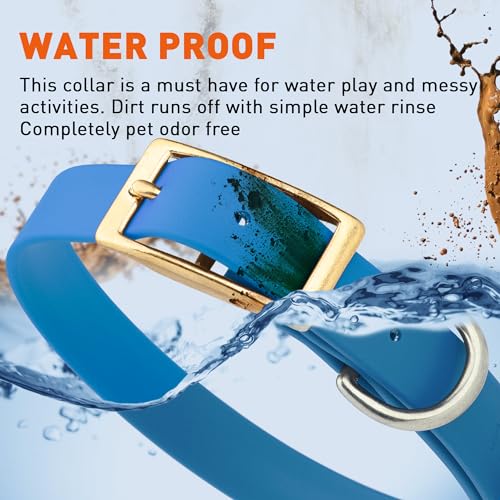 Image of Viper Biothane Heavy Duty Waterproof Dog Collar Strong Coated Nylon Webbing w /Solid Brass Hardware Odor-Proof Easy to Clean High Performance Fits Small Medium or Large Dogs, Cerulean Blue