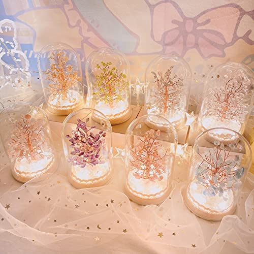 Nbeads Herz Glaskuppel Mit Holzsockel - 22cm Terrarium Glocke Für Deko | Ausstellungskuppel Transparent